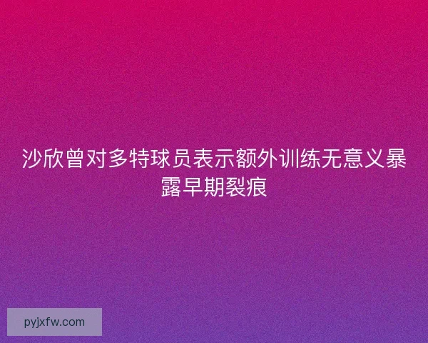 沙欣曾对多特球员表示额外训练无意义暴露早期裂痕